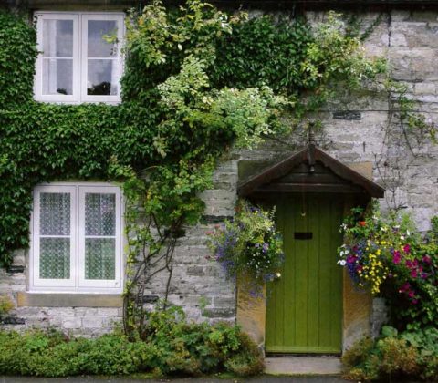 uPVC windows and timber doors